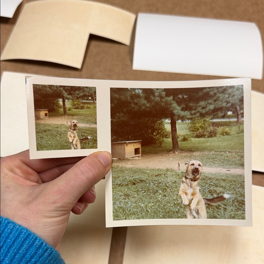 Vintage Photo Collection - Picture 9 of 11